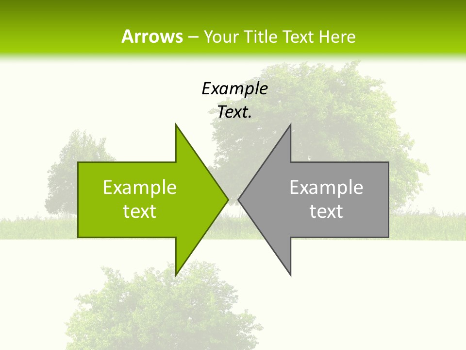 Isolated Leafy Summer PowerPoint Template