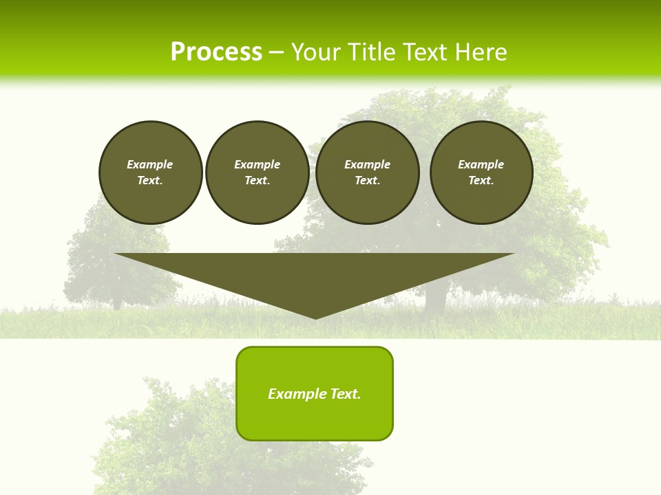 Isolated Leafy Summer PowerPoint Template