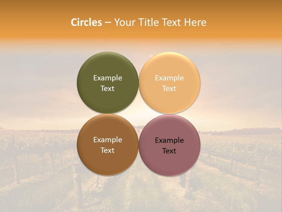 Consulting Expert Conference PowerPoint Template