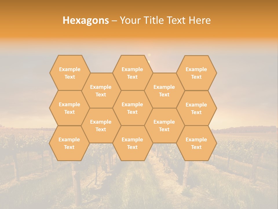 Consulting Expert Conference PowerPoint Template