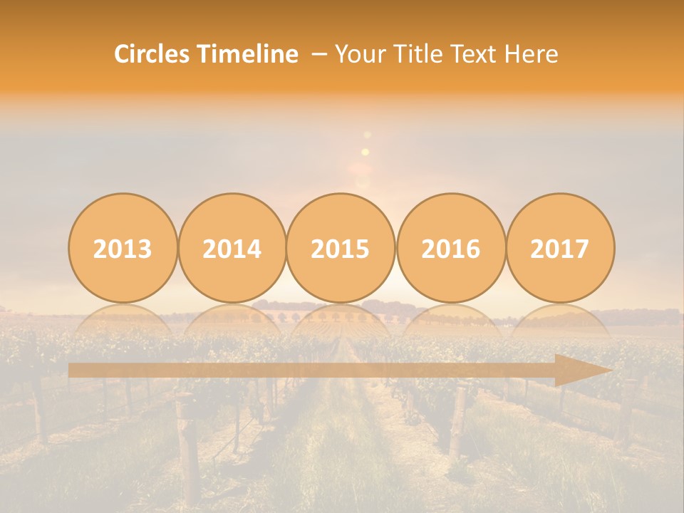 Consulting Expert Conference PowerPoint Template