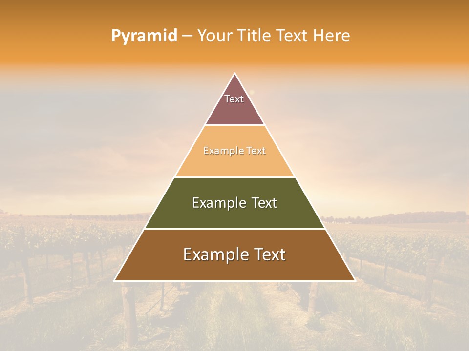 Consulting Expert Conference PowerPoint Template