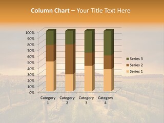 Consulting Expert Conference PowerPoint Template