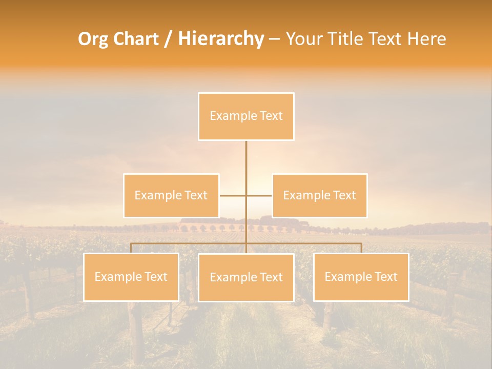 Consulting Expert Conference PowerPoint Template