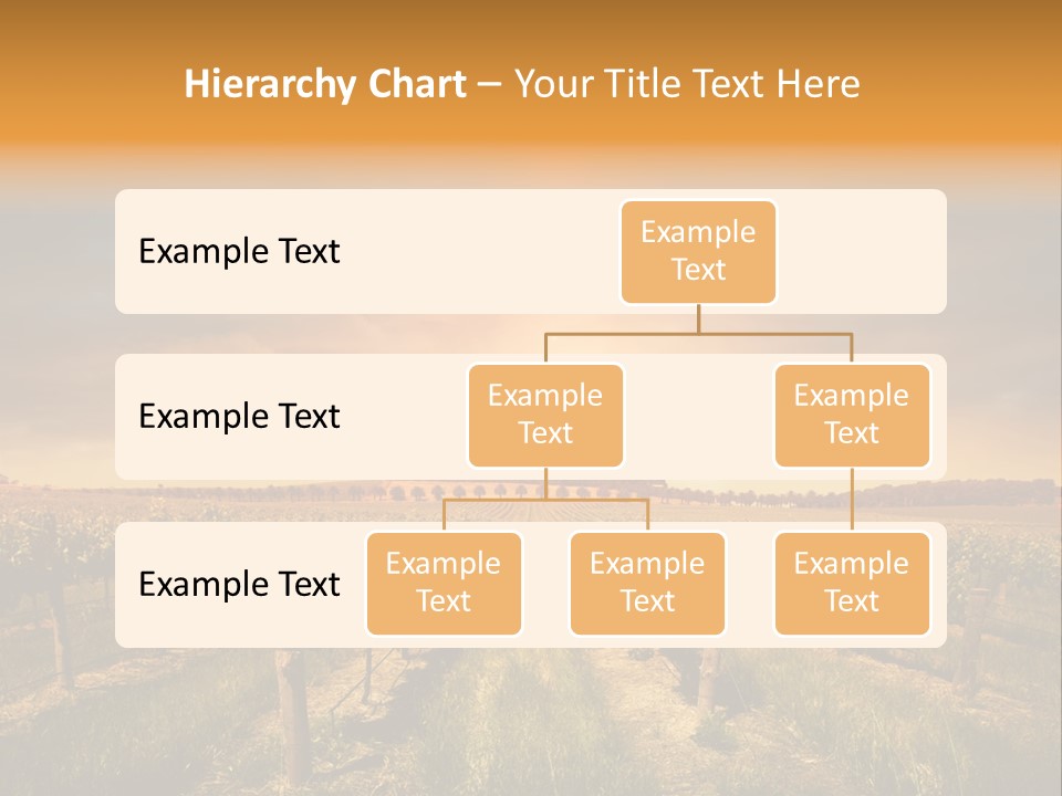 Consulting Expert Conference PowerPoint Template