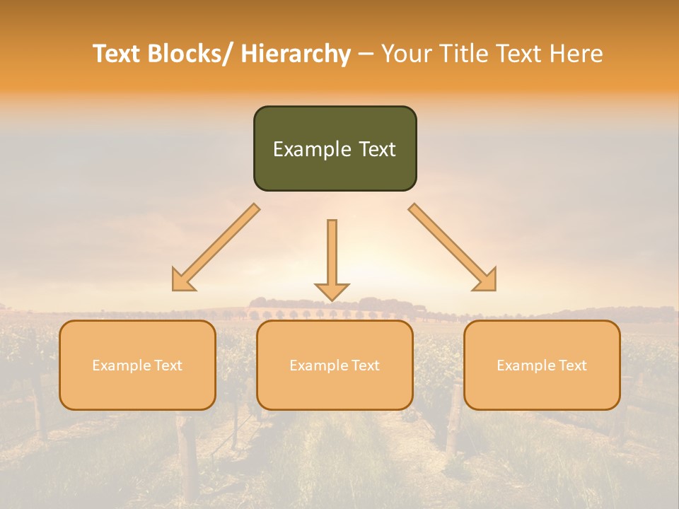 Consulting Expert Conference PowerPoint Template