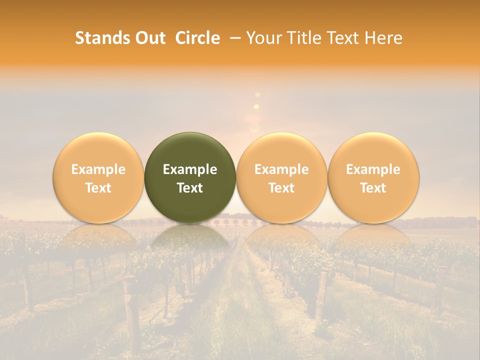 Consulting Expert Conference PowerPoint Template