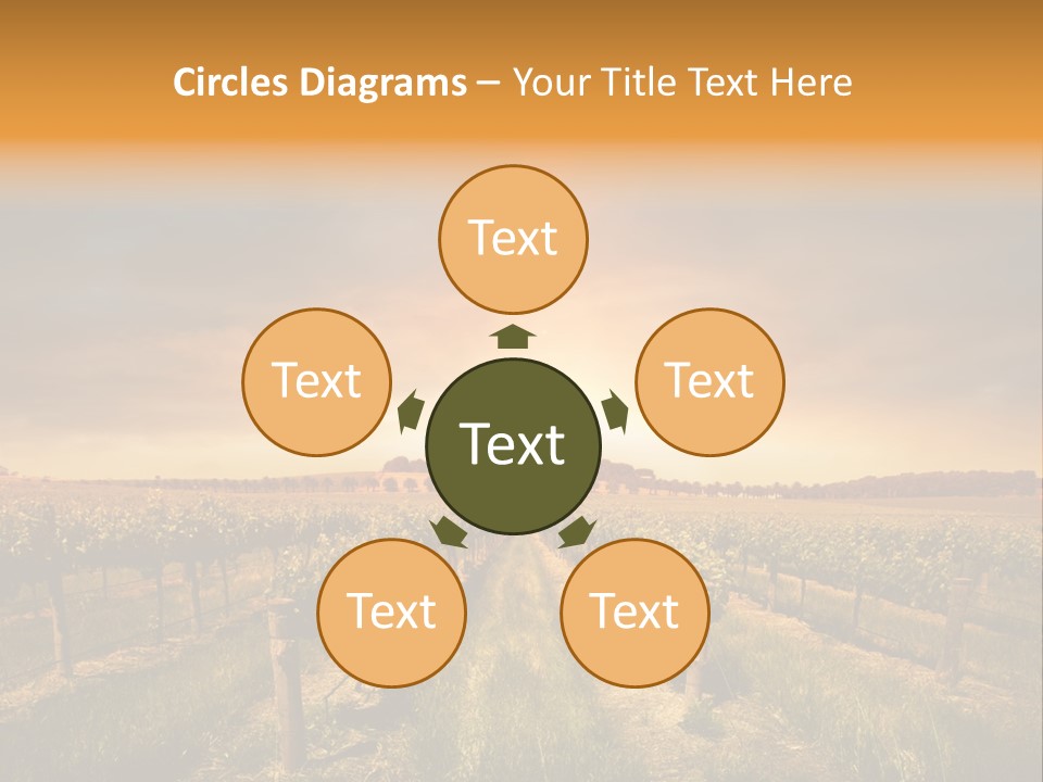 Consulting Expert Conference PowerPoint Template