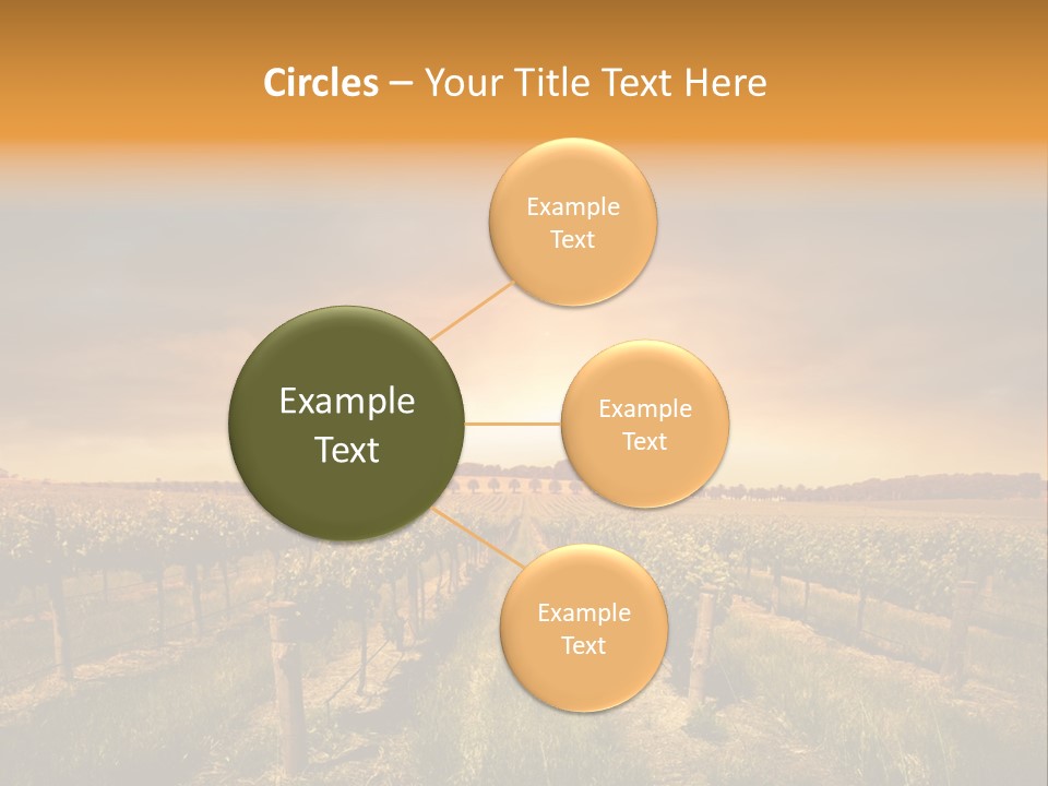 Consulting Expert Conference PowerPoint Template