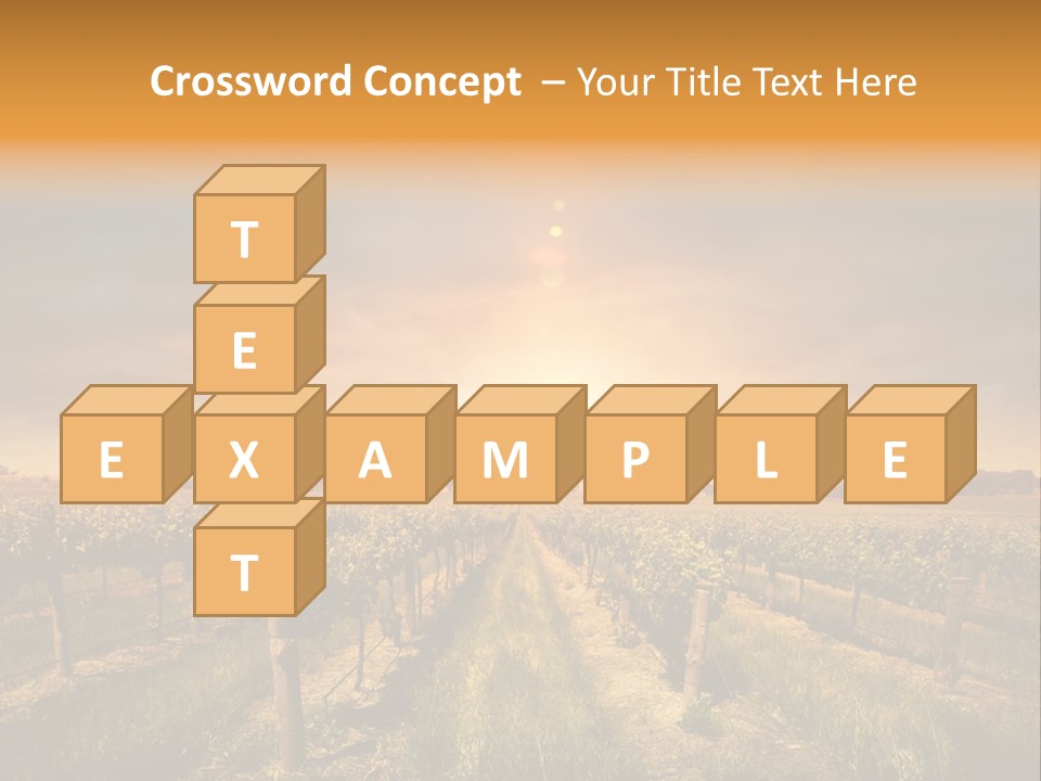 Consulting Expert Conference PowerPoint Template