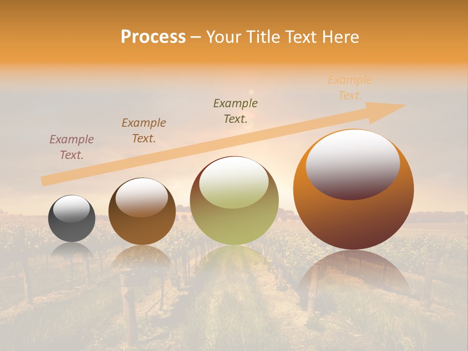 Consulting Expert Conference PowerPoint Template