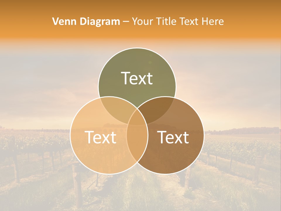 Consulting Expert Conference PowerPoint Template