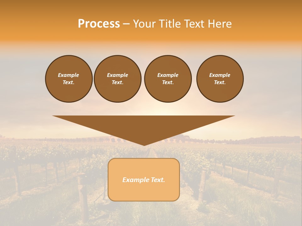 Consulting Expert Conference PowerPoint Template
