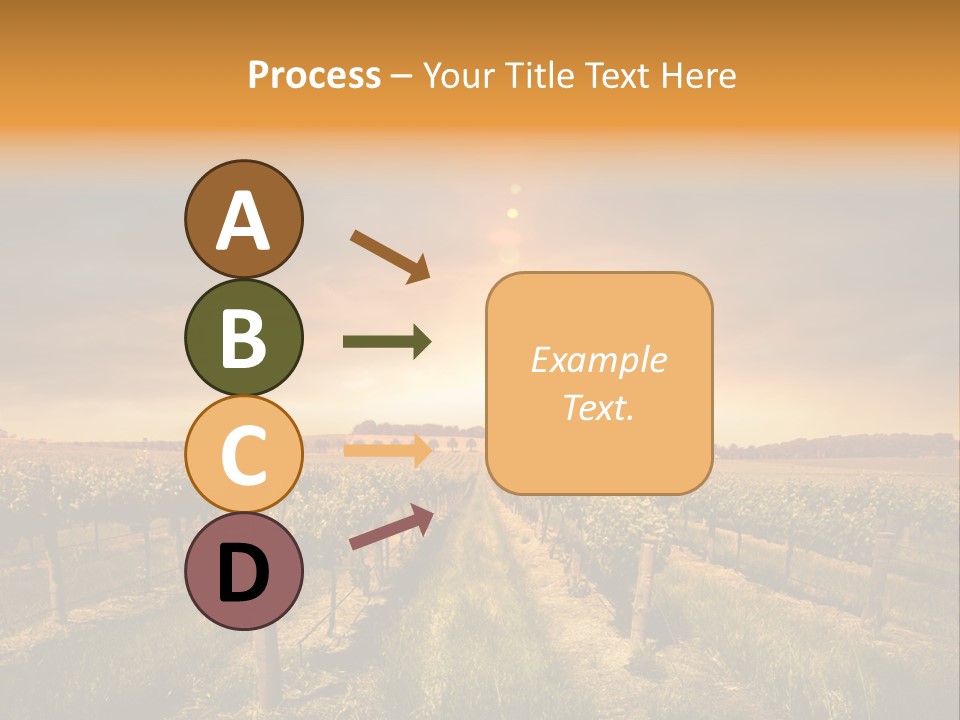 Consulting Expert Conference PowerPoint Template