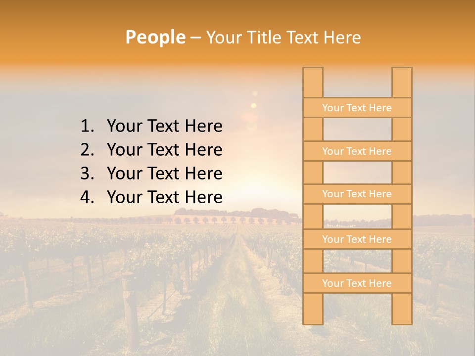 Consulting Expert Conference PowerPoint Template