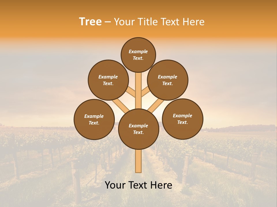 Consulting Expert Conference PowerPoint Template