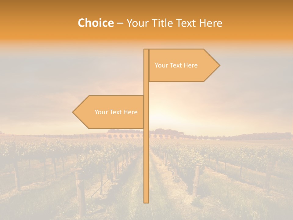 Consulting Expert Conference PowerPoint Template