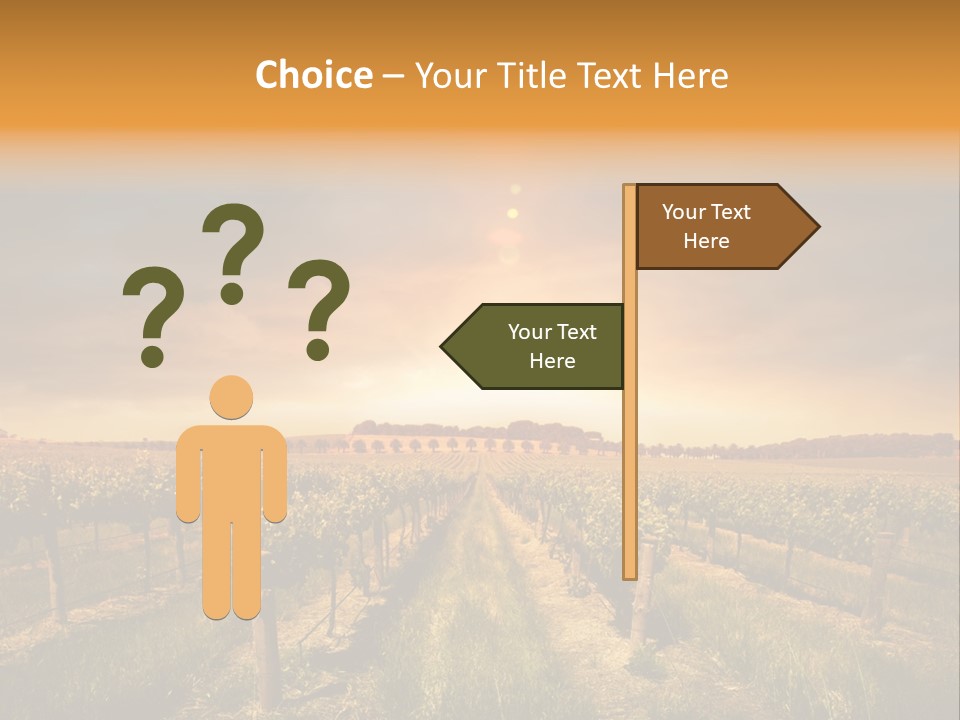 Consulting Expert Conference PowerPoint Template