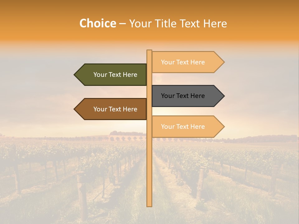 Consulting Expert Conference PowerPoint Template