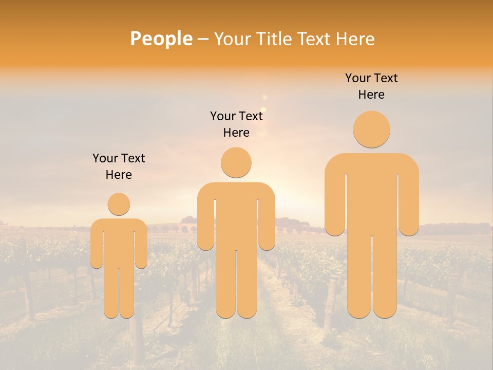 Consulting Expert Conference PowerPoint Template