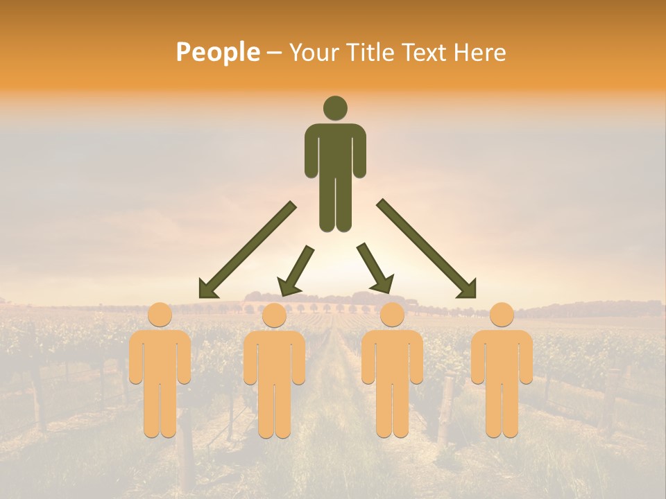 Consulting Expert Conference PowerPoint Template