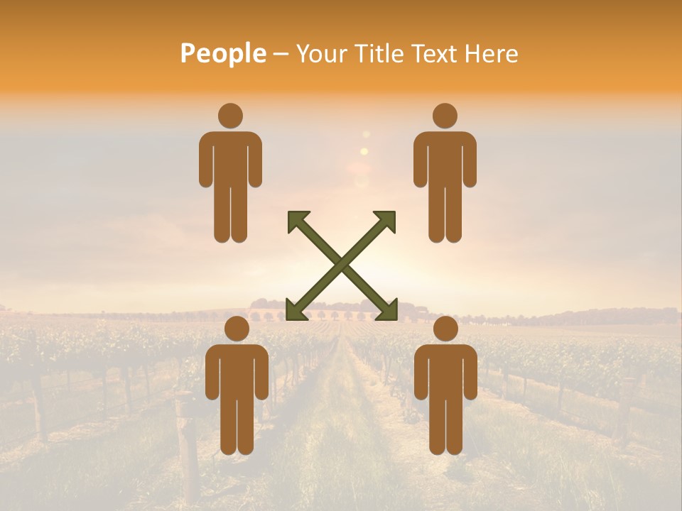 Consulting Expert Conference PowerPoint Template