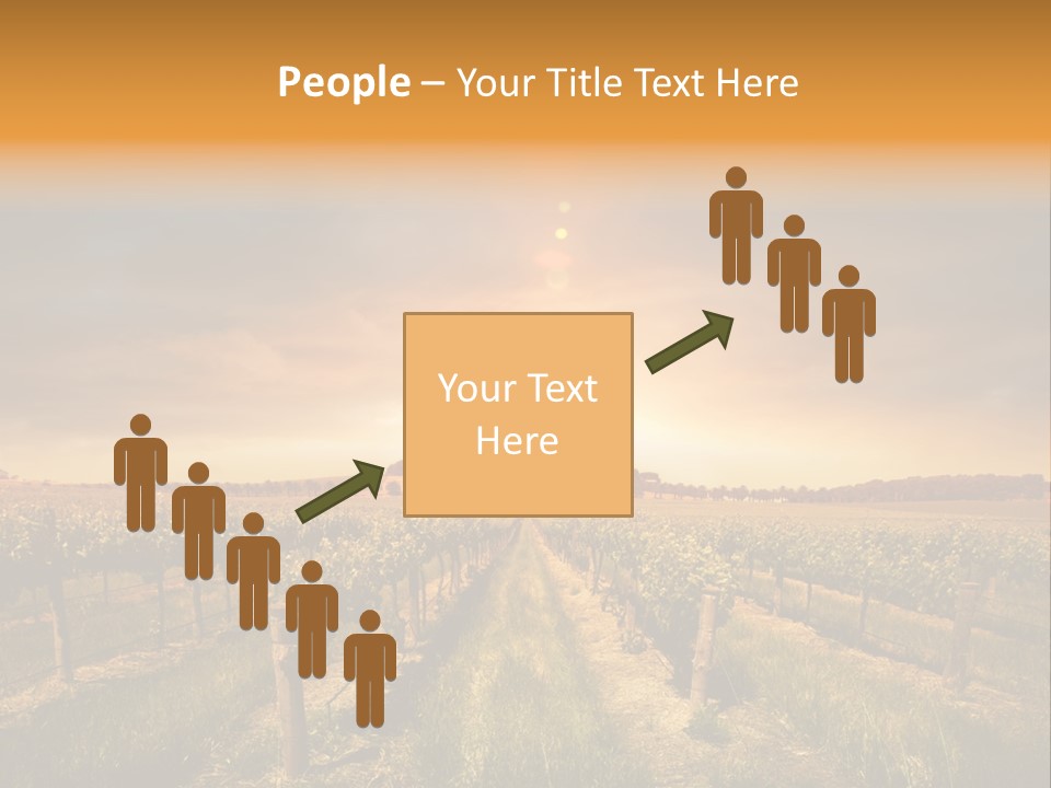Consulting Expert Conference PowerPoint Template