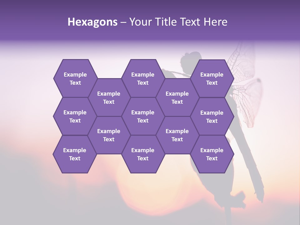 Dragonfly Protection Sleep PowerPoint Template