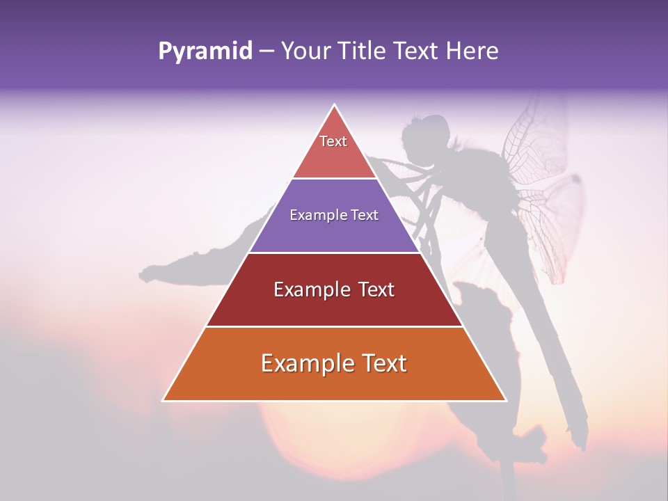 Dragonfly Protection Sleep PowerPoint Template