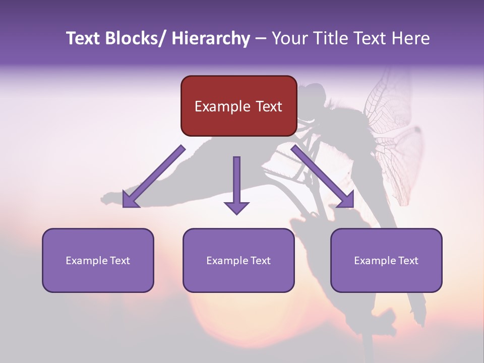 Dragonfly Protection Sleep PowerPoint Template