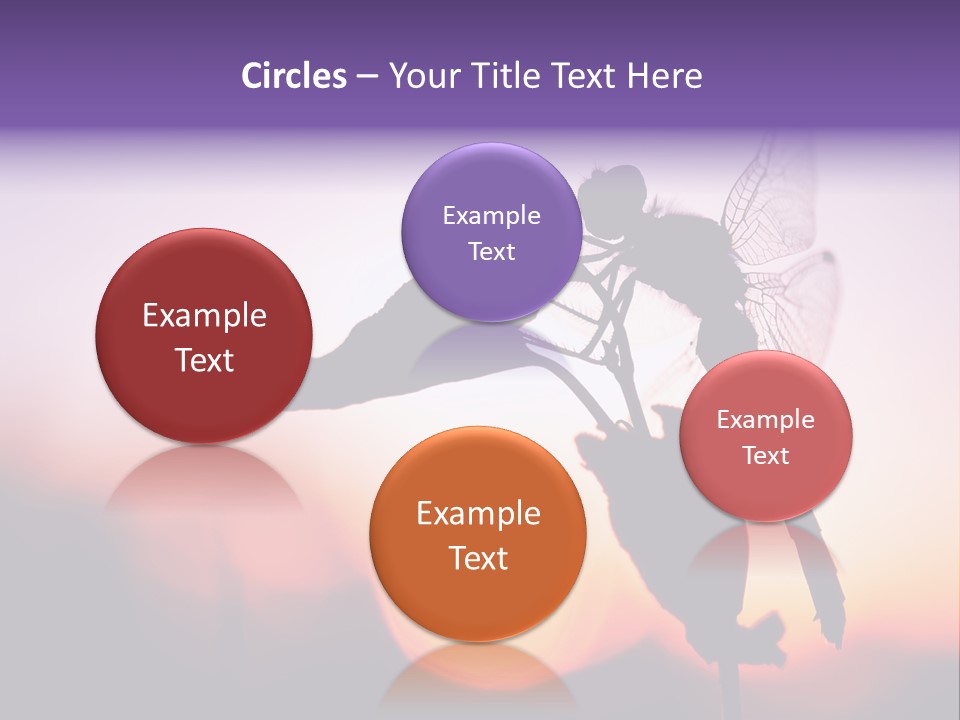 Dragonfly Protection Sleep PowerPoint Template