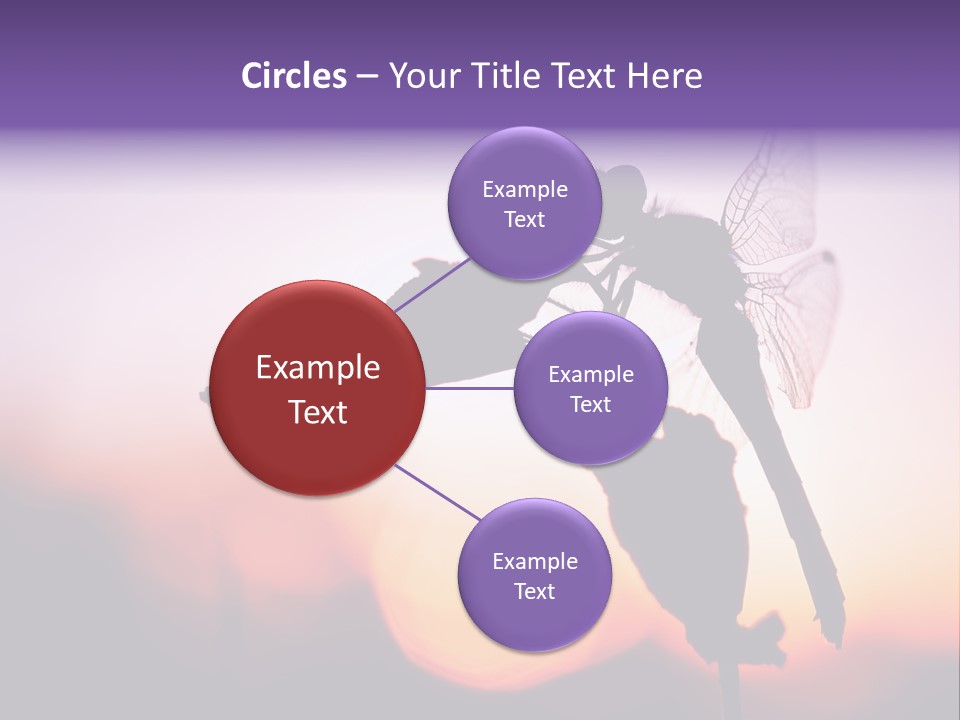 Dragonfly Protection Sleep PowerPoint Template
