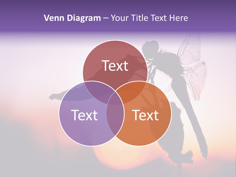 Dragonfly Protection Sleep PowerPoint Template