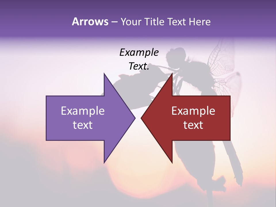 Dragonfly Protection Sleep PowerPoint Template