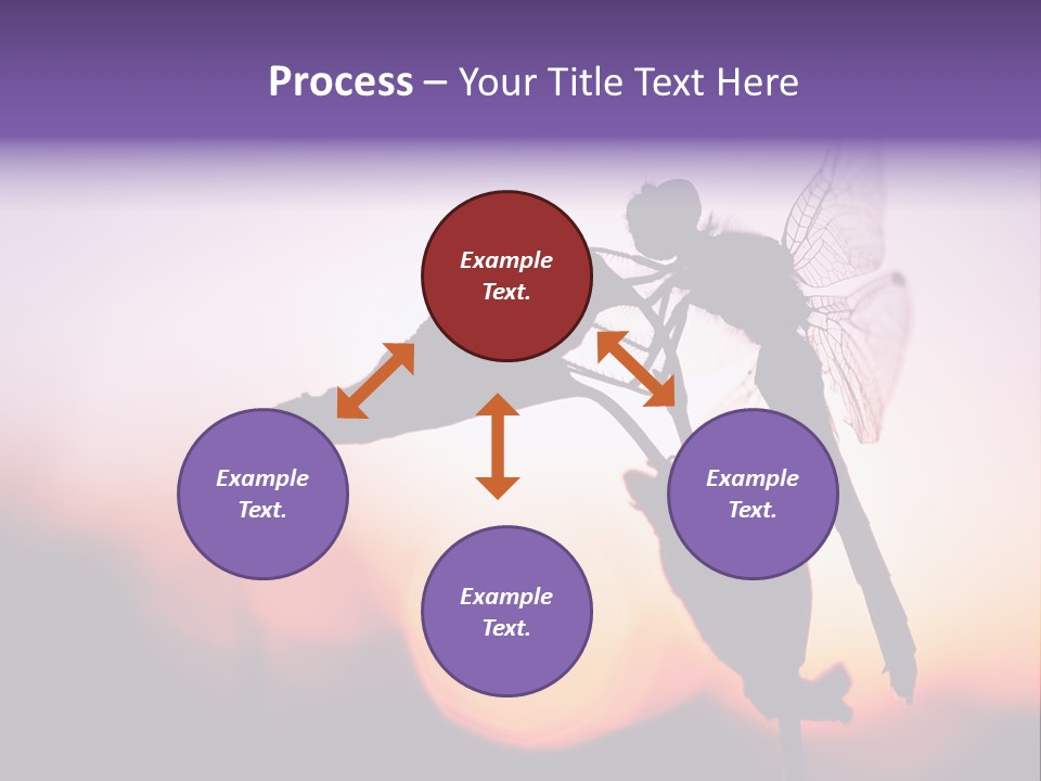 Dragonfly Protection Sleep PowerPoint Template