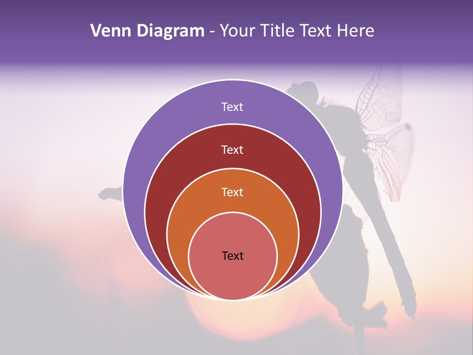 Dragonfly Protection Sleep PowerPoint Template