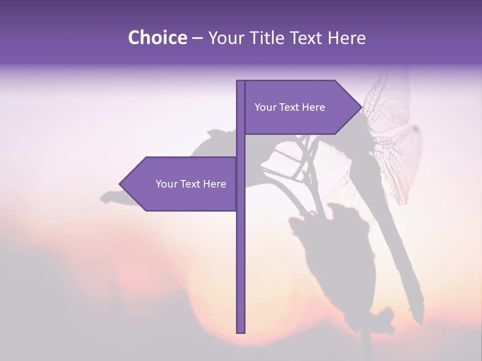 Dragonfly Protection Sleep PowerPoint Template