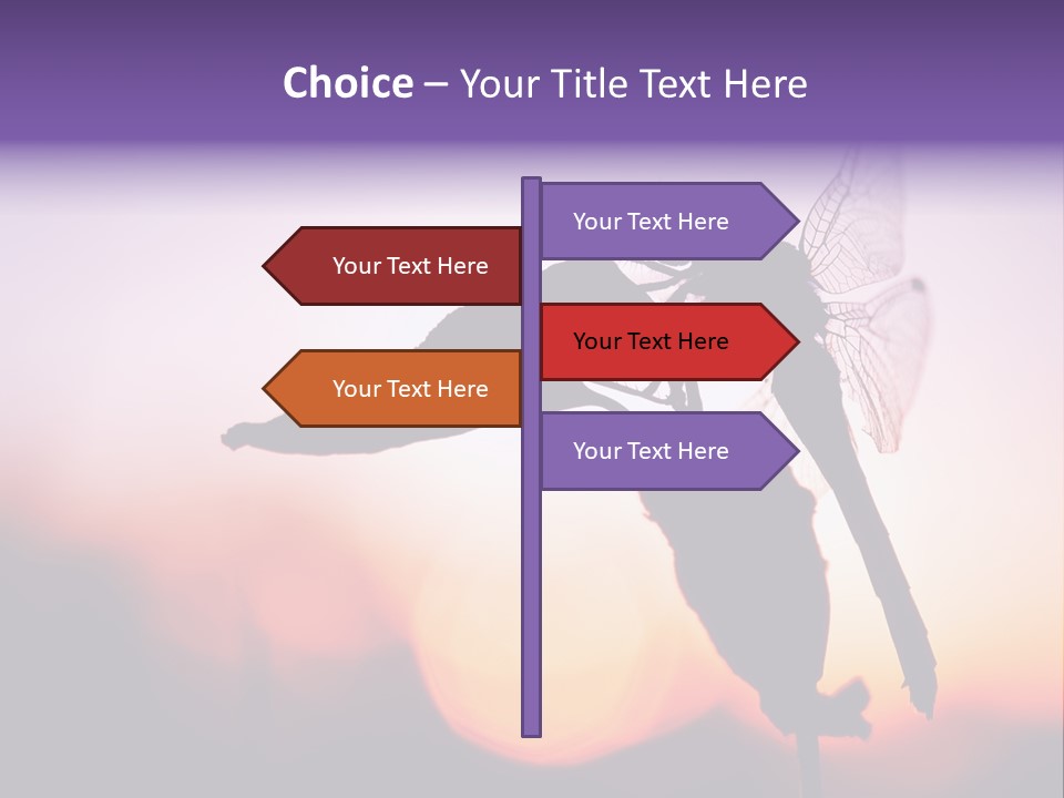 Dragonfly Protection Sleep PowerPoint Template