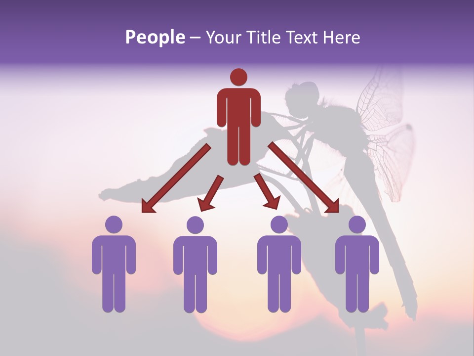 Dragonfly Protection Sleep PowerPoint Template