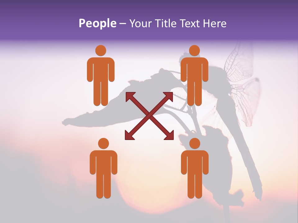 Dragonfly Protection Sleep PowerPoint Template