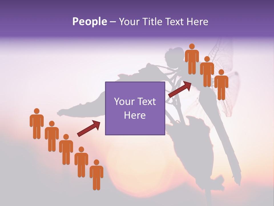 Dragonfly Protection Sleep PowerPoint Template