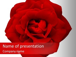 Photography Frame Section PowerPoint Template