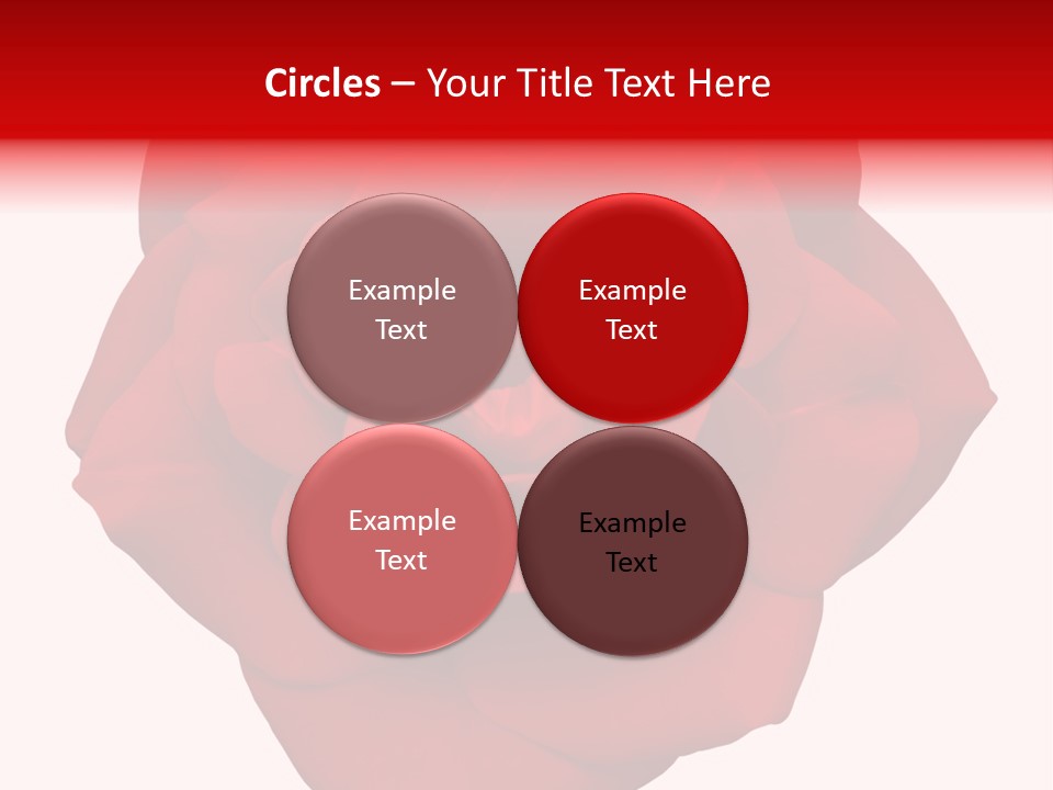 Photography Frame Section PowerPoint Template