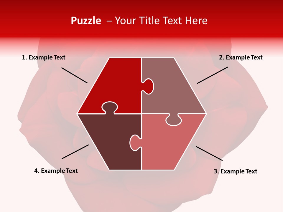 Photography Frame Section PowerPoint Template