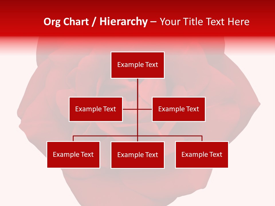 Photography Frame Section PowerPoint Template