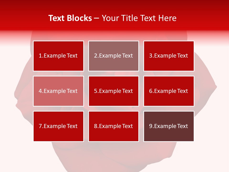 Photography Frame Section PowerPoint Template