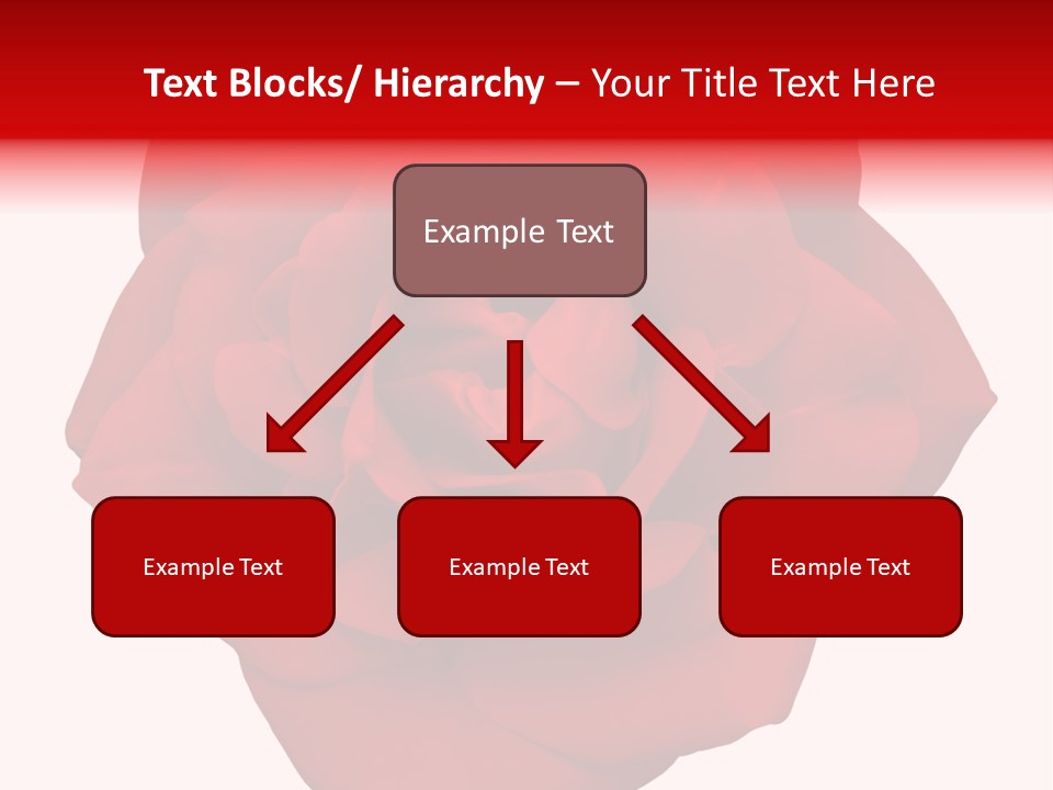 Photography Frame Section PowerPoint Template