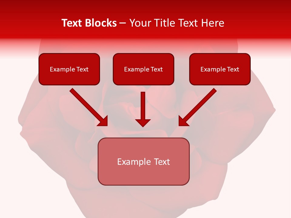 Photography Frame Section PowerPoint Template