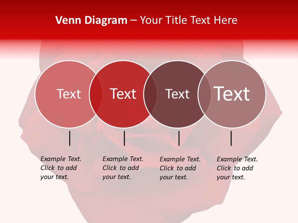 Photography Frame Section PowerPoint Template