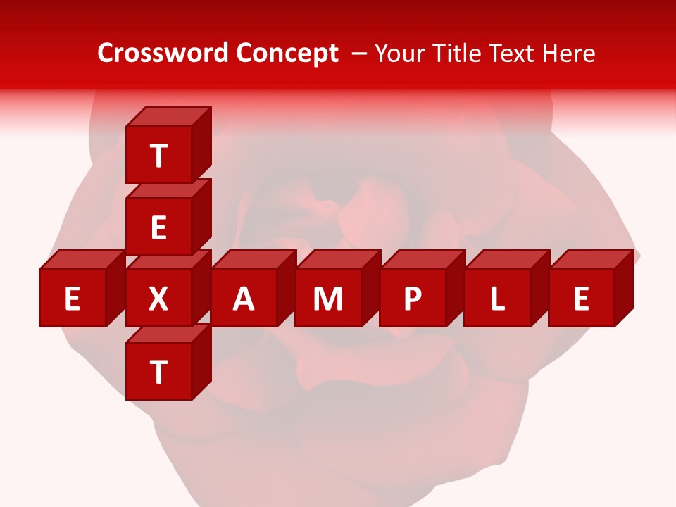 Photography Frame Section PowerPoint Template